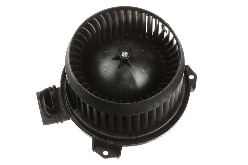 Blower motor